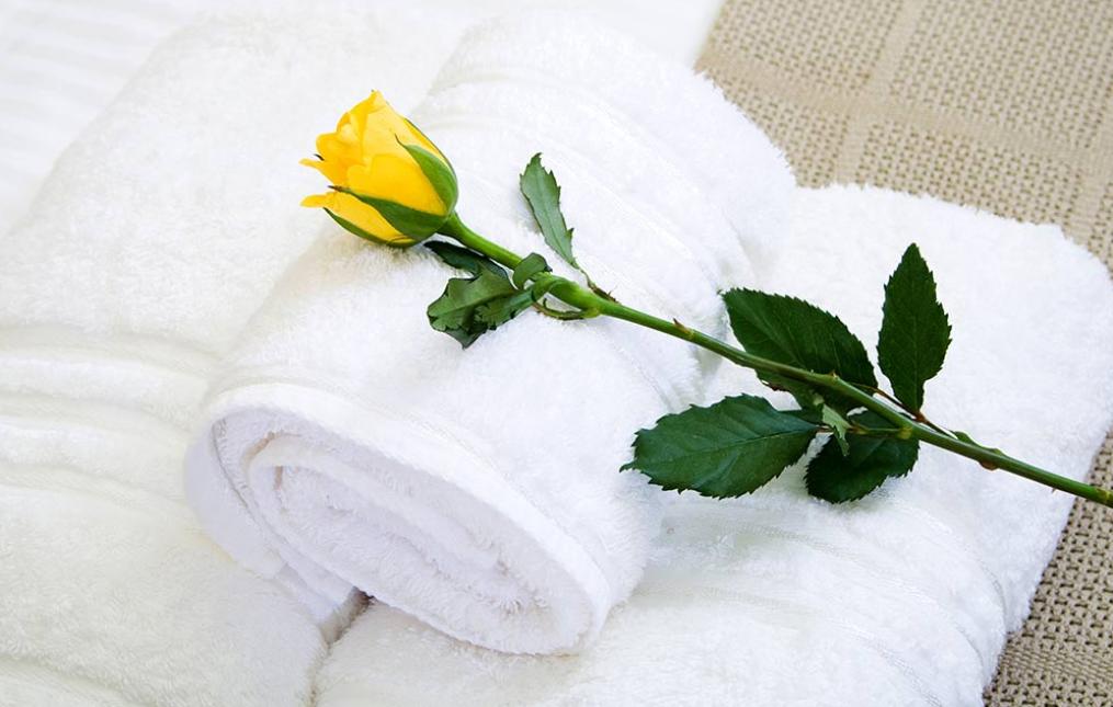 tomasitourism en holiday-homes-lidi-ferraresi 006