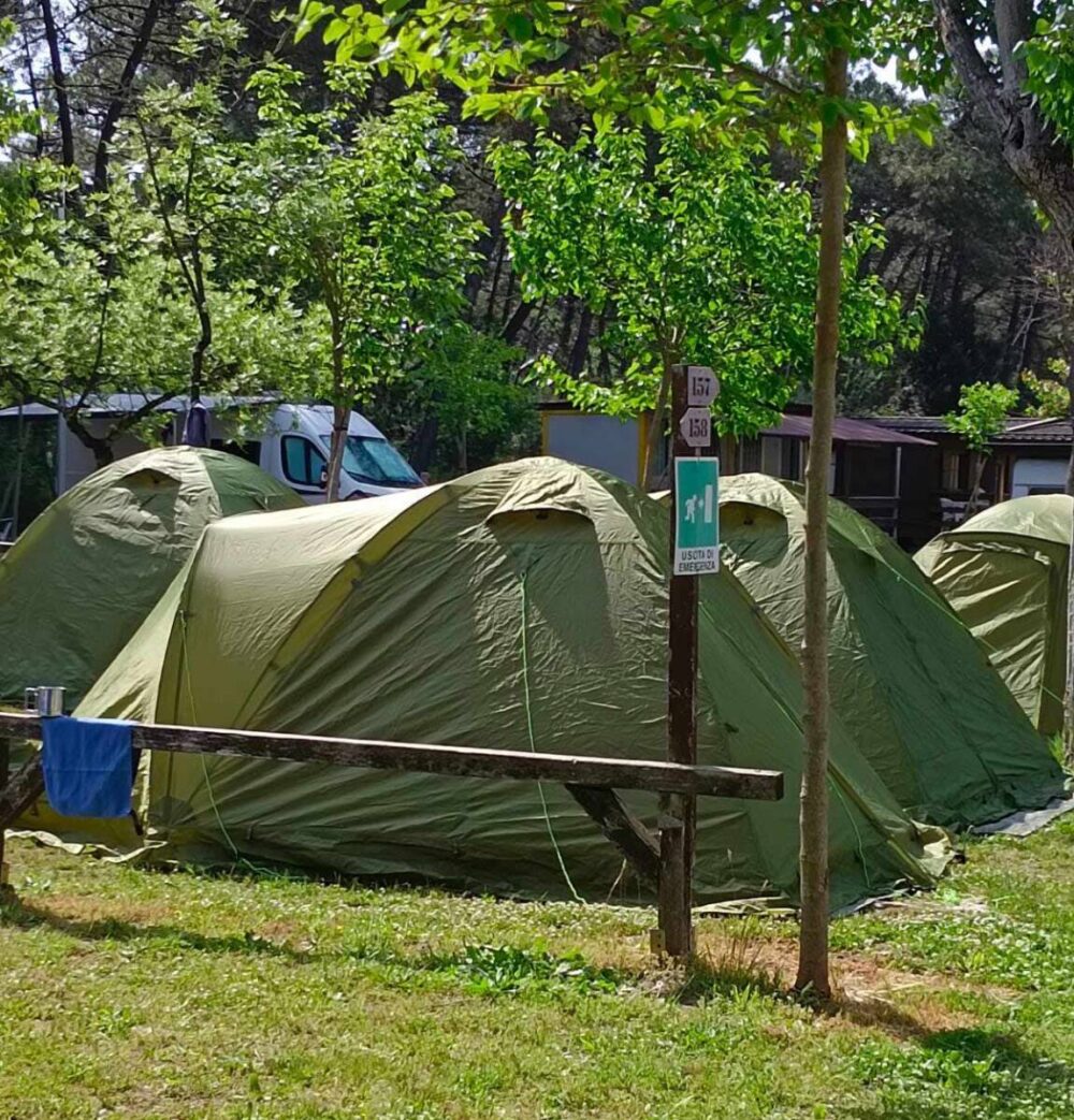 Offerta Camper Stop Lidi di Ravenna | Camping Reno